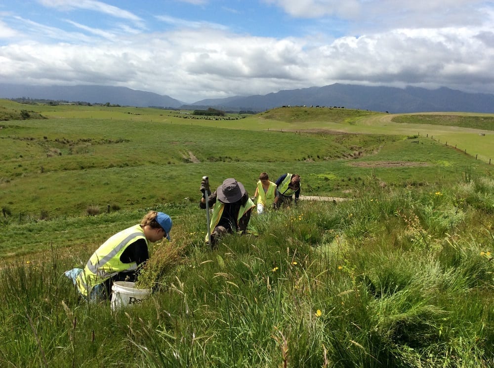 Environmental Sustainability in New Zealand Volunteer Abroad