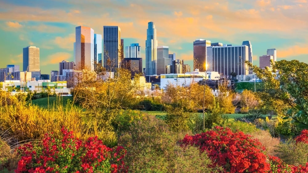 July In Los Angeles California Winter Study Abroad In Usa july in los angeles california